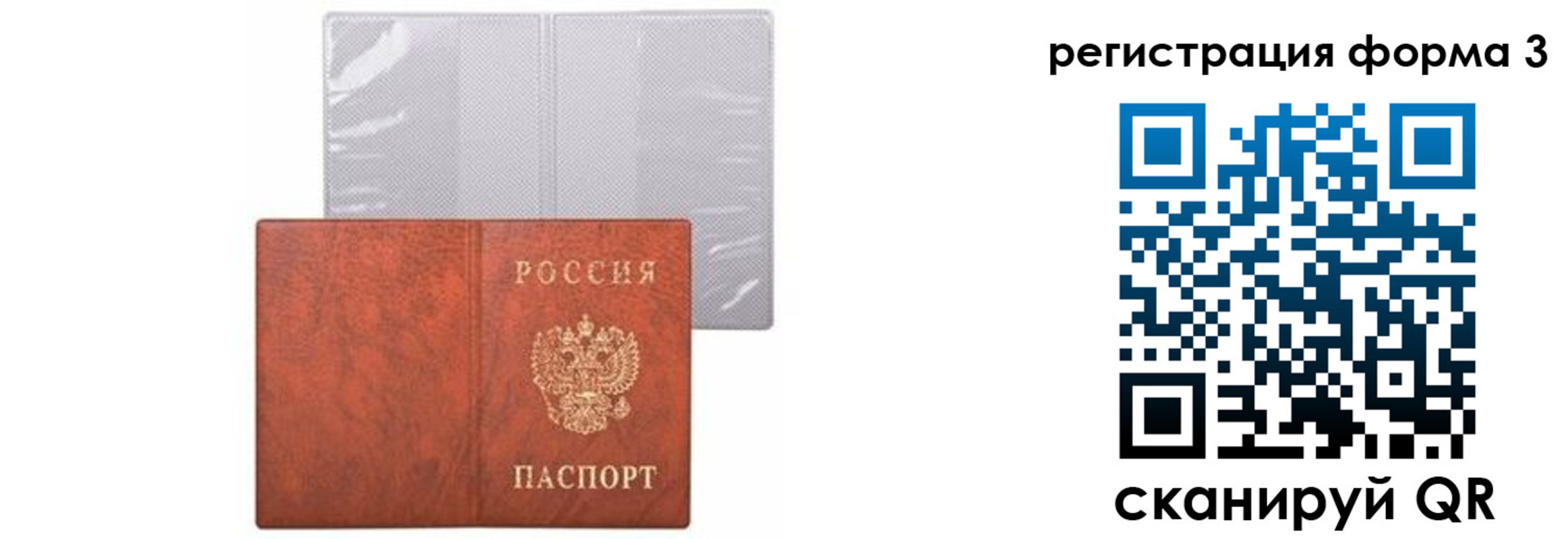 прописка 2025 в Менделеевске